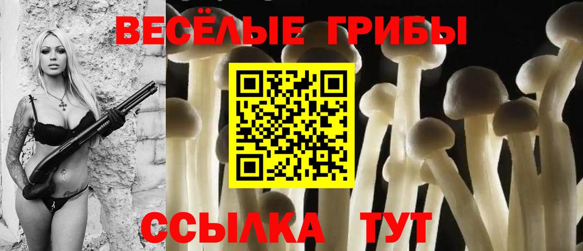 Мытищи  Галлюциногенные грибы мицелий  Вход с VPN 