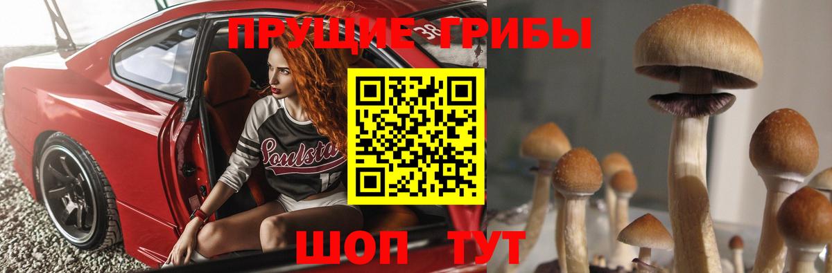 Галлюциногенные грибы Psilocybe Мытищи
