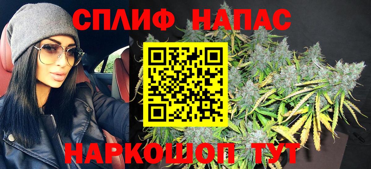 Бошки марихуана семена  Вход с VPN  Шишки марихуана семена  Мытищи 
